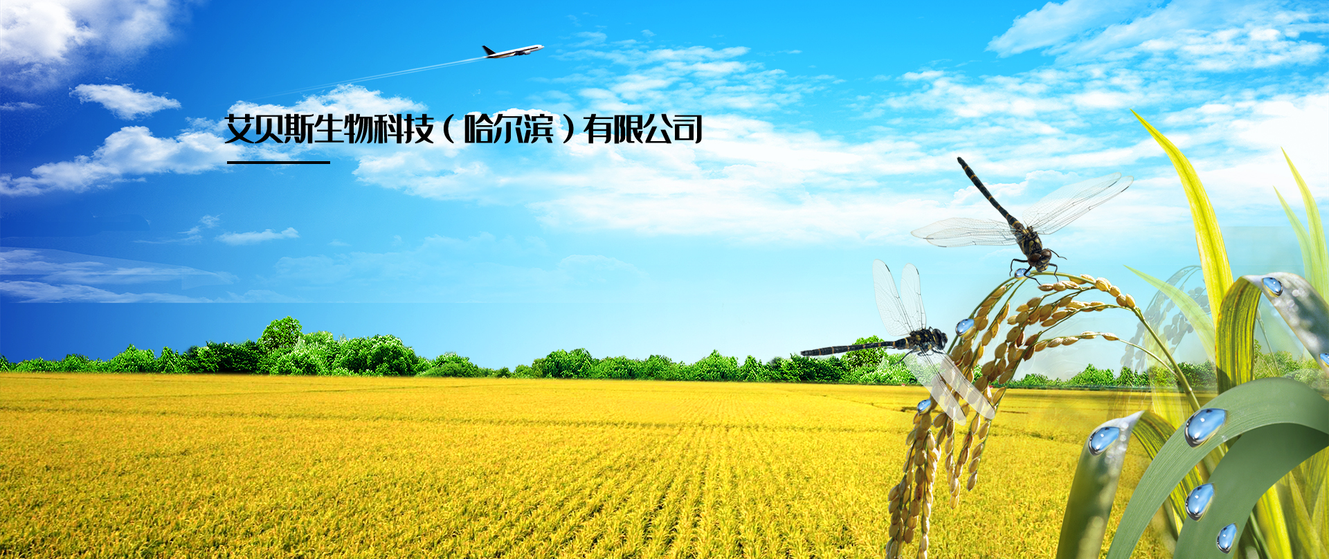 艾贝斯生物科技（哈尔滨）有限公司