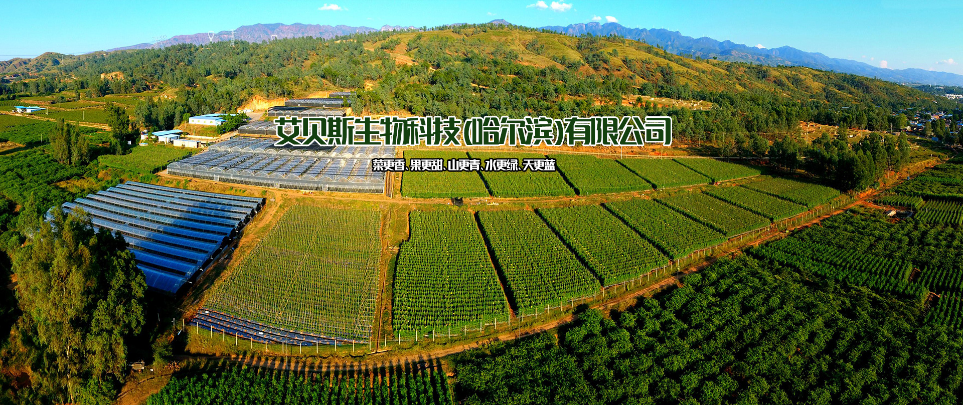 艾贝斯生物科技（哈尔滨）有限公司